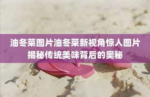 油冬菜图片油冬菜新视角惊人图片揭秘传统美味背后的奥秘