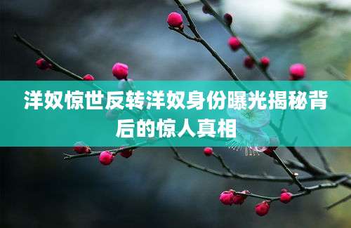 洋奴惊世反转洋奴身份曝光揭秘背后的惊人真相