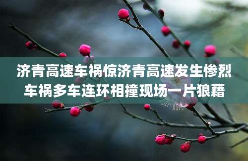 济青高速车祸惊济青高速发生惨烈车祸多车连环相撞现场一片狼藉