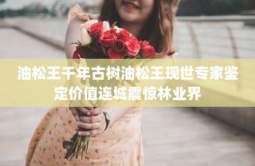 油松王千年古树油松王现世专家鉴定价值连城震惊林业界