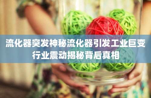 流化器突发神秘流化器引发工业巨变行业震动揭秘背后真相