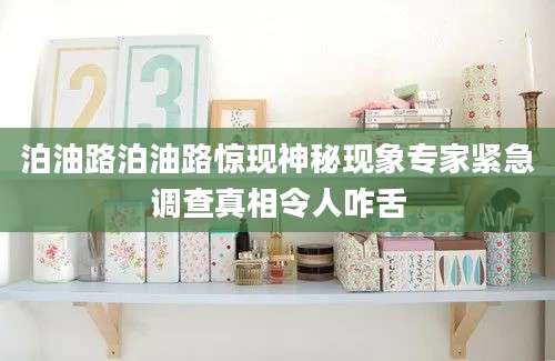 泊油路泊油路惊现神秘现象专家紧急调查真相令人咋舌