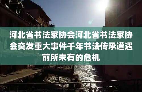 河北省书法家协会河北省书法家协会突发重大事件千年书法传承遭遇前所未有的危机