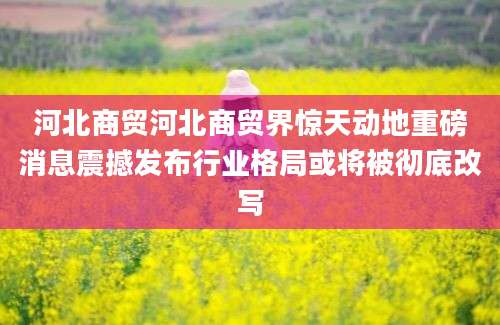 河北商贸河北商贸界惊天动地重磅消息震撼发布行业格局或将被彻底改写