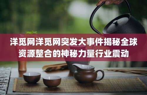 洋觅网洋觅网突发大事件揭秘全球资源整合的神秘力量行业震动