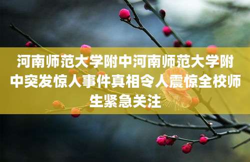河南师范大学附中河南师范大学附中突发惊人事件真相令人震惊全校师生紧急关注