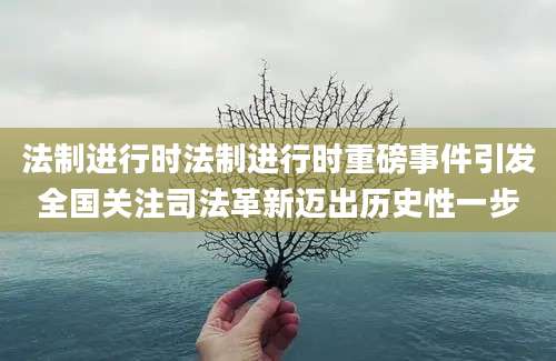 法制进行时法制进行时重磅事件引发全国关注司法革新迈出历史性一步