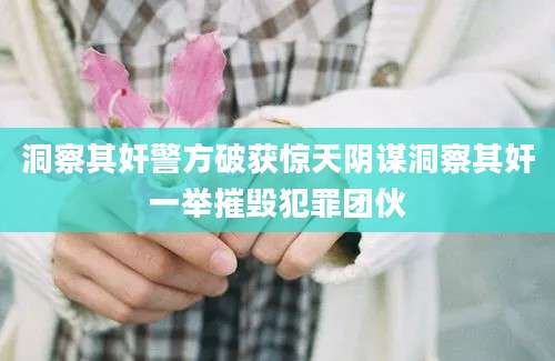 洞察其奸警方破获惊天阴谋洞察其奸一举摧毁犯罪团伙
