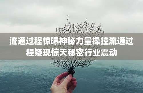 流通过程惊曝神秘力量操控流通过程疑现惊天秘密行业震动