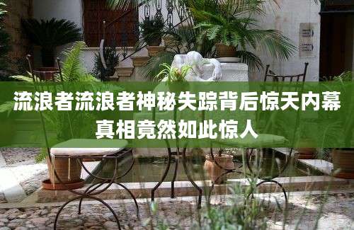 流浪者流浪者神秘失踪背后惊天内幕真相竟然如此惊人