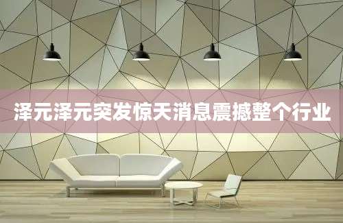 泽元泽元突发惊天消息震撼整个行业