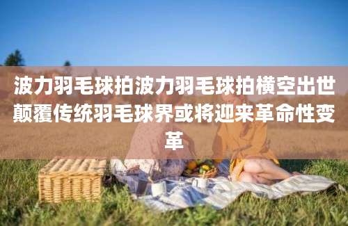 波力羽毛球拍波力羽毛球拍横空出世颠覆传统羽毛球界或将迎来革命性变革