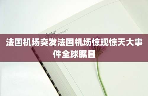 法国机场突发法国机场惊现惊天大事件全球瞩目