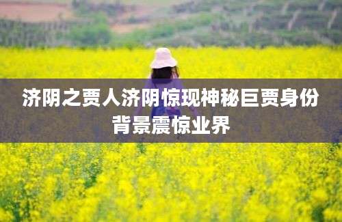 济阴之贾人济阴惊现神秘巨贾身份背景震惊业界