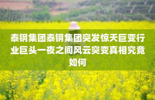 泰钢集团泰钢集团突发惊天巨变行业巨头一夜之间风云突变真相究竟如何