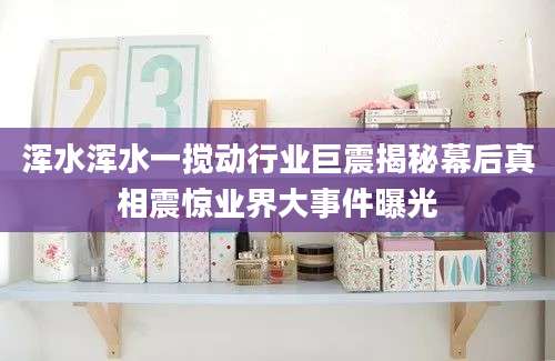 浑水浑水一搅动行业巨震揭秘幕后真相震惊业界大事件曝光