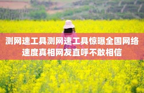测网速工具测网速工具惊曝全国网络速度真相网友直呼不敢相信