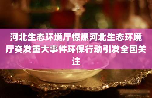 河北生态环境厅惊爆河北生态环境厅突发重大事件环保行动引发全国关注
