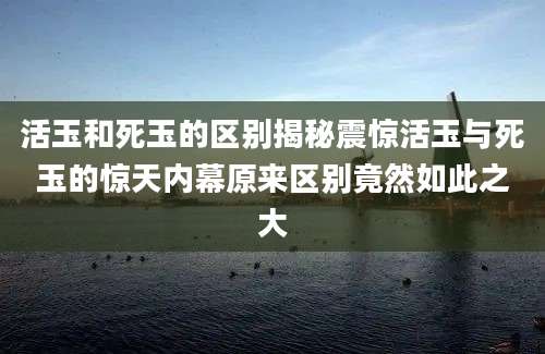 活玉和死玉的区别揭秘震惊活玉与死玉的惊天内幕原来区别竟然如此之大