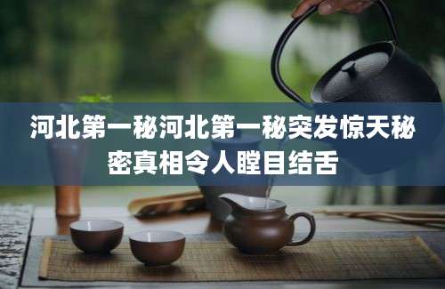 河北第一秘河北第一秘突发惊天秘密真相令人瞠目结舌