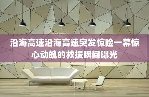 沿海高速沿海高速突发惊险一幕惊心动魄的救援瞬间曝光