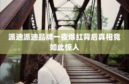 派迪派迪品牌一夜爆红背后真相竟如此惊人
