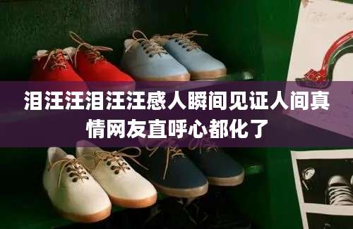 泪汪汪泪汪汪感人瞬间见证人间真情网友直呼心都化了