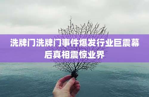 洗牌门洗牌门事件爆发行业巨震幕后真相震惊业界