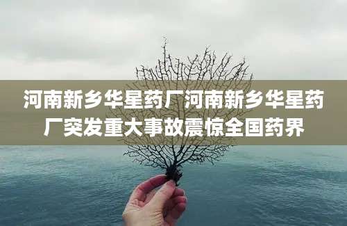 河南新乡华星药厂河南新乡华星药厂突发重大事故震惊全国药界