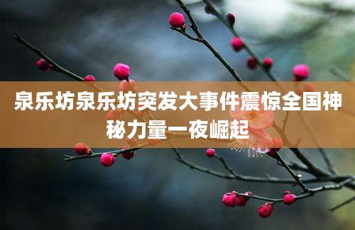 泉乐坊泉乐坊突发大事件震惊全国神秘力量一夜崛起