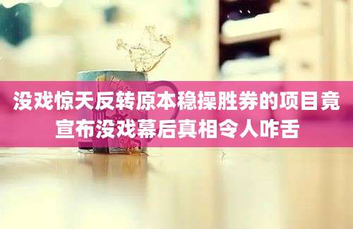 没戏惊天反转原本稳操胜券的项目竟宣布没戏幕后真相令人咋舌