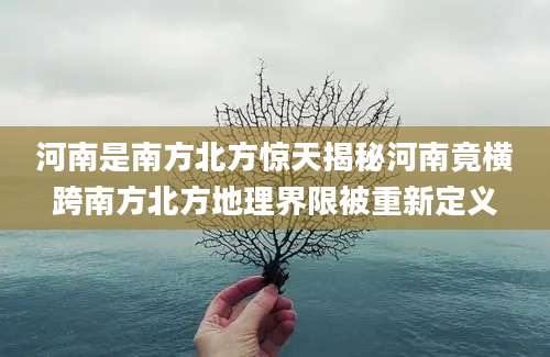河南是南方北方惊天揭秘河南竟横跨南方北方地理界限被重新定义