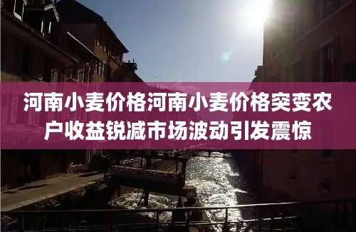 河南小麦价格河南小麦价格突变农户收益锐减市场波动引发震惊