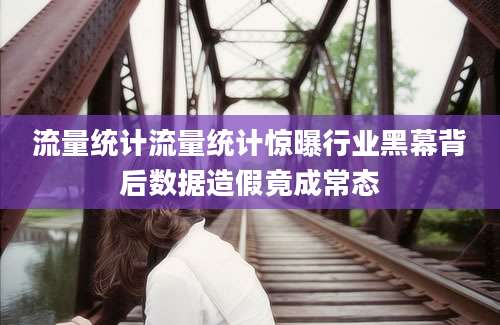 流量统计流量统计惊曝行业黑幕背后数据造假竟成常态
