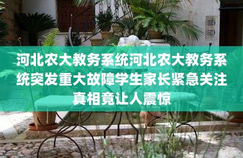 河北农大教务系统河北农大教务系统突发重大故障学生家长紧急关注真相竟让人震惊