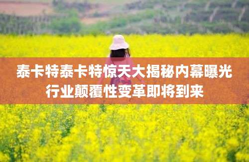 泰卡特泰卡特惊天大揭秘内幕曝光行业颠覆性变革即将到来