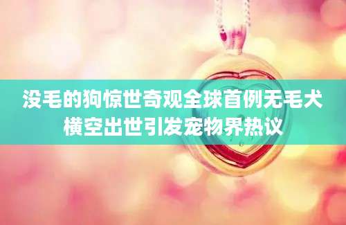 没毛的狗惊世奇观全球首例无毛犬横空出世引发宠物界热议
