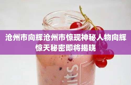 沧州市向辉沧州市惊现神秘人物向辉惊天秘密即将揭晓