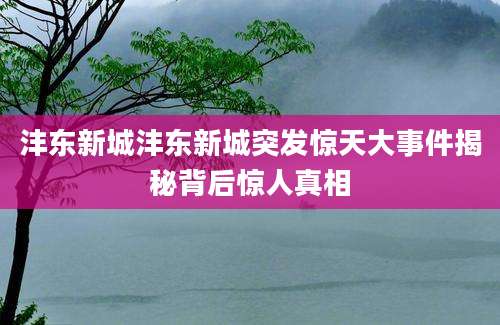沣东新城沣东新城突发惊天大事件揭秘背后惊人真相